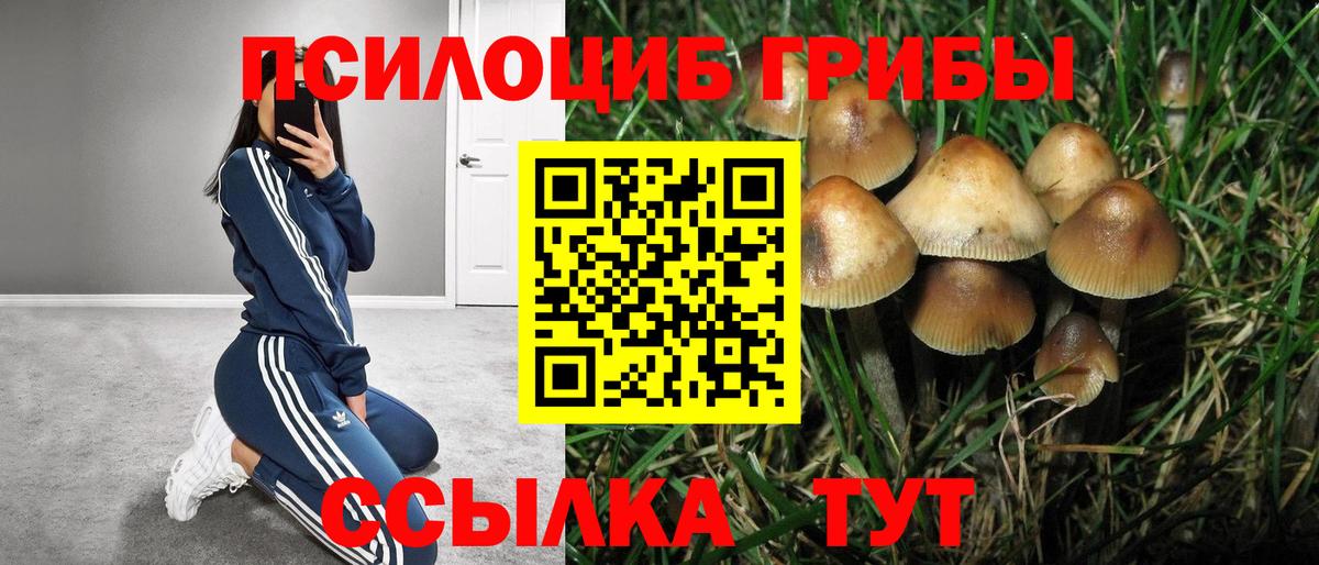 Чистополь  Галлюциногенные грибы GOLDEN TEACHER  Псилоцибиновые грибы Psilocybe  Вход с VPN 
