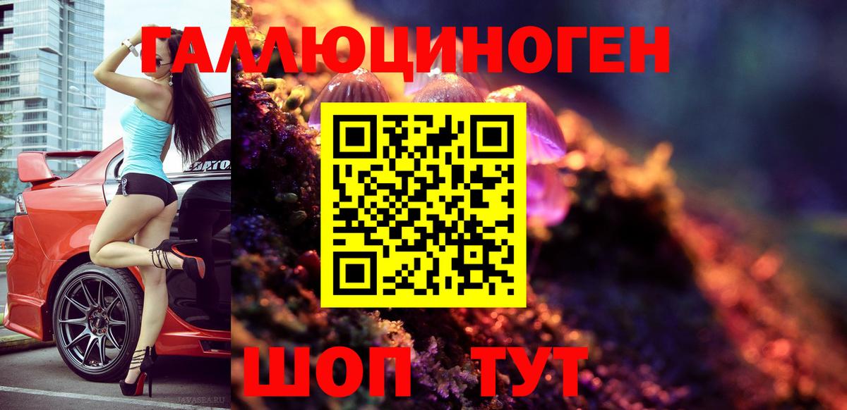 Псилоцибиновые грибы Psilocybe Чистополь